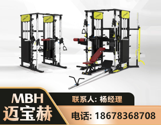 淄博多功能综合训练器