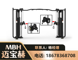 淄博大飞鸟训练器