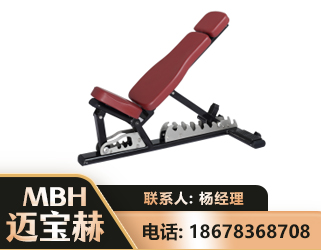 淄博可调哑铃椅